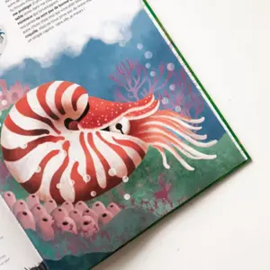 Children's book Sassi Animaux Insolites & Curieux image-1