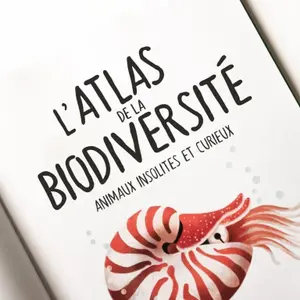 Children's book Sassi Animaux Insolites & Curieux image-3