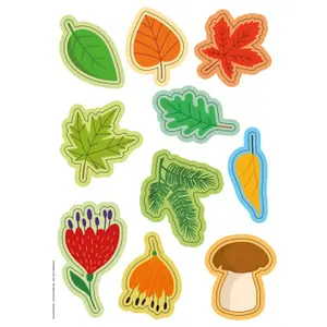 Card games Sassi Le Menteur - La Nature image-3