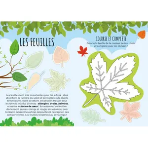 Card games Sassi Le Menteur - La Nature image-4