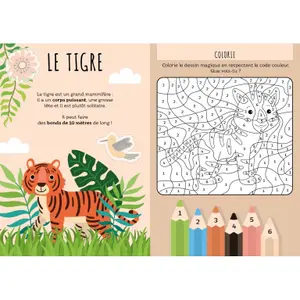 Card games Sassi Le Super 7 Familles. La Jungle image-2