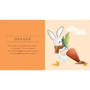 Children's book Sassi Touche à tout - Les Couleurs image-2