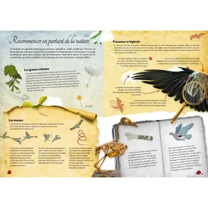 Construction games Sassi Les Machines Volantes 3D image-2