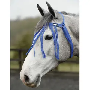 Halter for horse Saxon Fly Fringe image-0