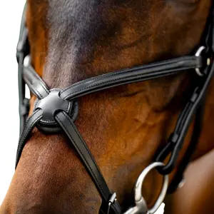 Crossed Leather Nasal Headcollar Horseware image-1