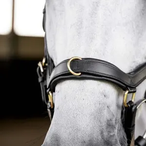Anatomisch hoofdstel Horseware Micklem Multi image-2