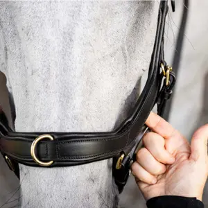 Anatomisch hoofdstel Horseware Micklem Multi image-4