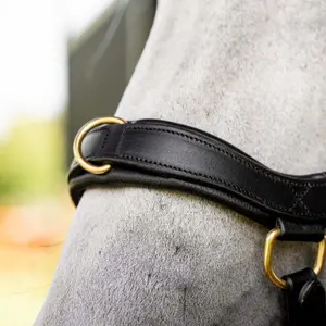 Anatomisch hoofdstel Horseware Micklem Multi image-5