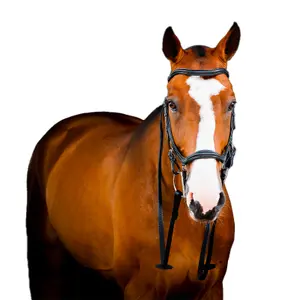 Συρμάτινα ηνία με λάστιχα Horseware Micklem 2 Deluxe image-1