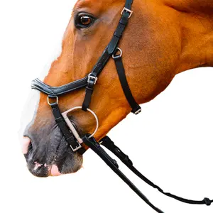 Συρμάτινα ηνία με λάστιχα Horseware Micklem 2 Deluxe image-2