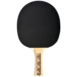 Bordtennisketcher Schildkröt Champs 300 FSC image-1