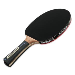 751803-racket-for-bordtennis-schildkrot-waldner-3000-carbon-abp-griff-svart-tu