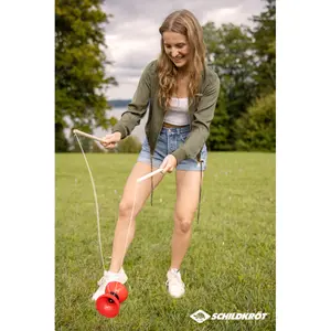 Diabolo Schildkröt image-1