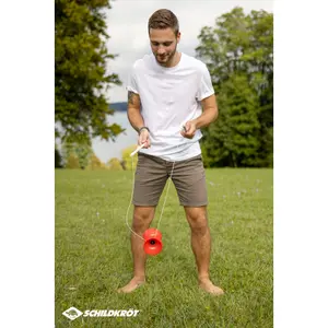 Diabolo Schildkröt image-2