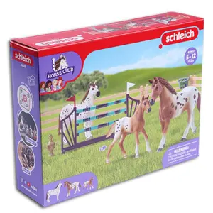 Figurine Schleich HC Lisas Turnier-Training image-0