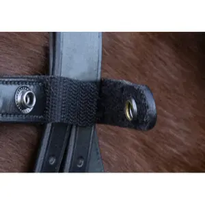 Frontal pour cheval Schockemöehle Siena image-2