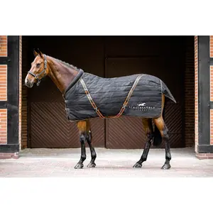 Couverture d'écurie pour cheval Schockemöehle New Alltime 400 g image-0