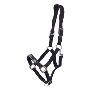 Cavezza Schockemöhle Sports Acron image-0