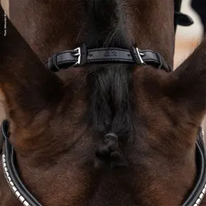 Κεφαλίδα ιππασίας Schockemöhle Sports Equitus Rho image-4
