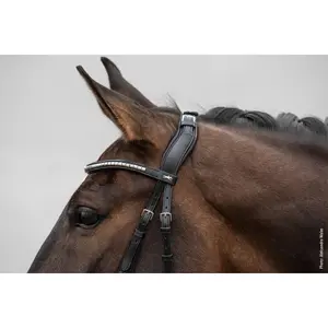 Κεφαλίδα ιππασίας Schockemöhle Sports Equitus Rho image-3