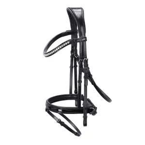 Anatomical Riding Bridle Schockemöhle Palermo image-0