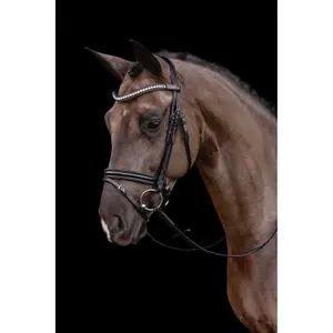 Anatomical Riding Bridle Schockemöhle Palermo image-1