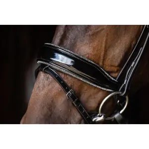 Schockemöhle Stanford Glam Riding Bridle image-1