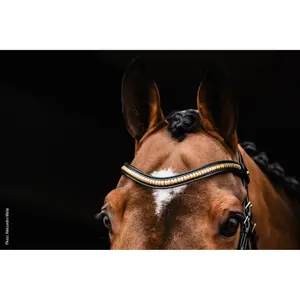 Stirnriemen für Damenpferde Schockemöhle Sports Monza image-1