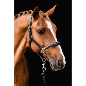 Pferdehalfter aus Leder für Damen Schockemöhle Sports Frisco image-1