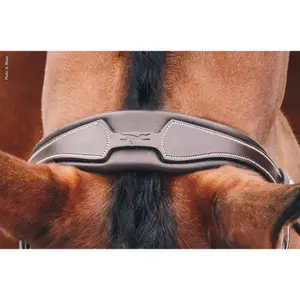 Cabezal de equitación Schockemöehle Head Piece Select image-1