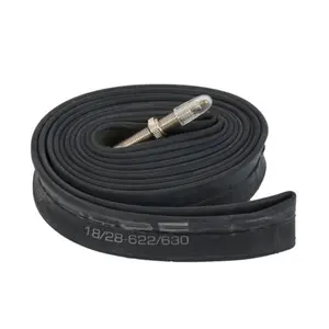 Camera d'aria Schwalbe Standard Sv15