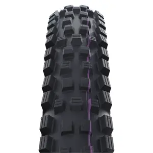 Pneumatici Schwalbe Magic Mary Trail Pro - TLR - Addix Ultra Soft - Radial image-1