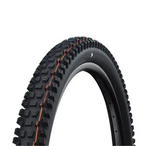Pneu Schwalbe Albert Trail Pro - TLR - Addix Ultra Soft - Radial image-0