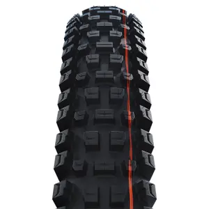 Pneu Schwalbe Albert Trail Pro - TLR - Addix Ultra Soft - Radial image-1