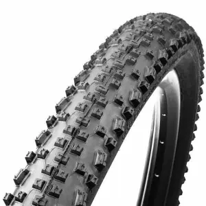 Neumáticos Schwalbe Rapid Rob image-1