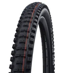 Pneumatico tubeless morbido per mountain bike Schwalbe Big Betty Hs608 Evo Super Trail Addix Soft 62-584 image-0