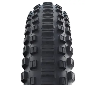 Pneu rigide Schwalbe Littub. Joe Perf Addix image-0