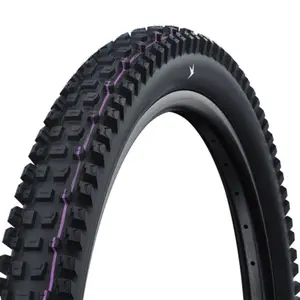 Ευλύγιστο λάστιχο Schwalbe Albert Gravity Pro/Evo Radial US TLR image-0
