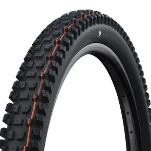 Ελαστικό ποδηλάτου Schwalbe Albert Gravity Pro Evo Radial Us TLR image-0