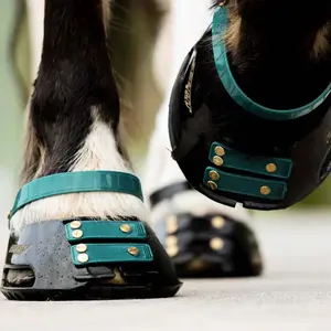 Front Strap Scoot Boots Standard (x6) image-1