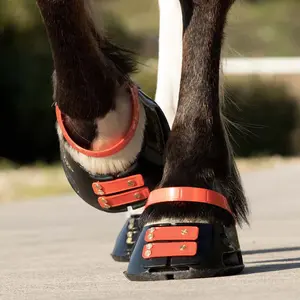 Front Strap Scoot Boots Standard (x6) image-0