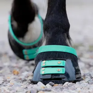 Front Strap Scoot Boots Standard (x6) image-1