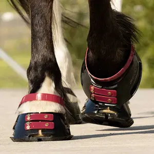 Front Strap Scoot Boots Standard (x6) image-1