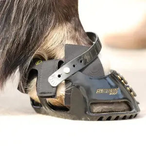 Glove guard for horses Scoot Boots Hybrid image-3