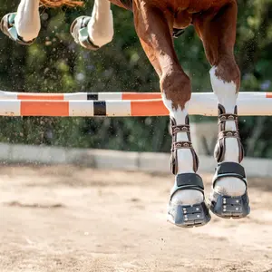 Versatile Horse Gaiters Scoot Boots image-4