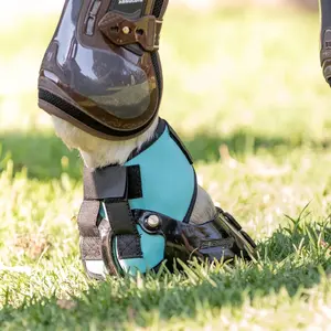 Versatile Horse Gaiters Scoot Boots image-2