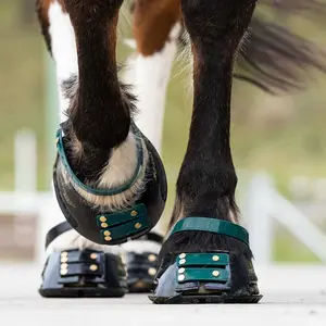 Pastern Strap Scoot Boots (x4) image-1