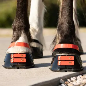 Pastern Strap Scoot Boots (x4) image-1