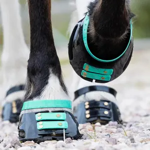 Pastern Strap Scoot Boots (x4) image-1