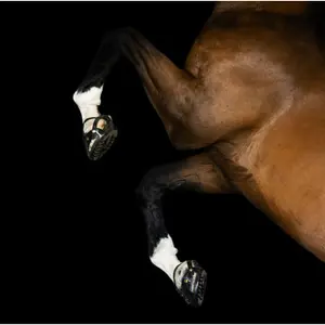 Hipposandale paire Scoot Boots TheraRide image-1